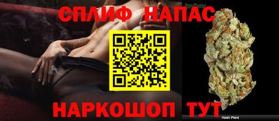 первитин Гатчина