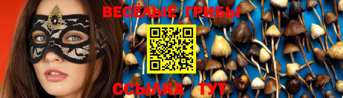 Псилоцибиновые грибы MAGIC MUSHROOMS Скопин