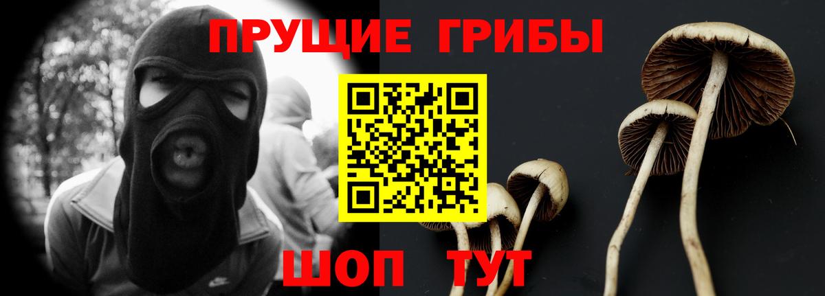 Псилоцибиновые грибы мицелий  Вход с VPN  где купить   Скопин 